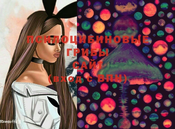дмт Баксан