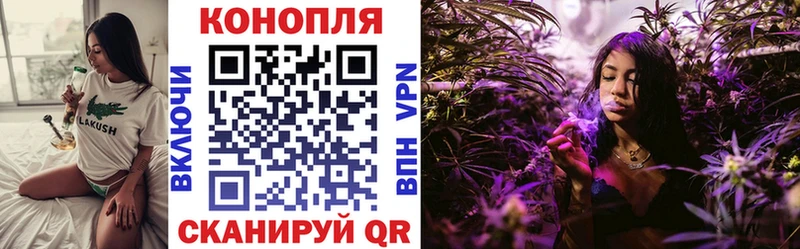 Бошки Шишки Amnesia  магазин    Белёв 